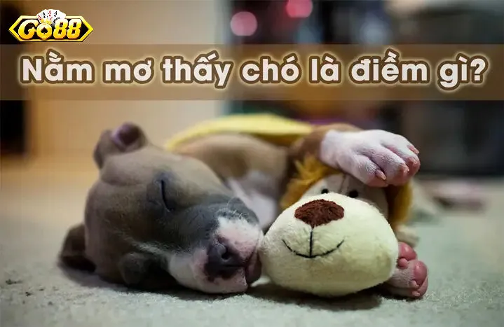 Những điềm báo khi bạn mơ thấy chó